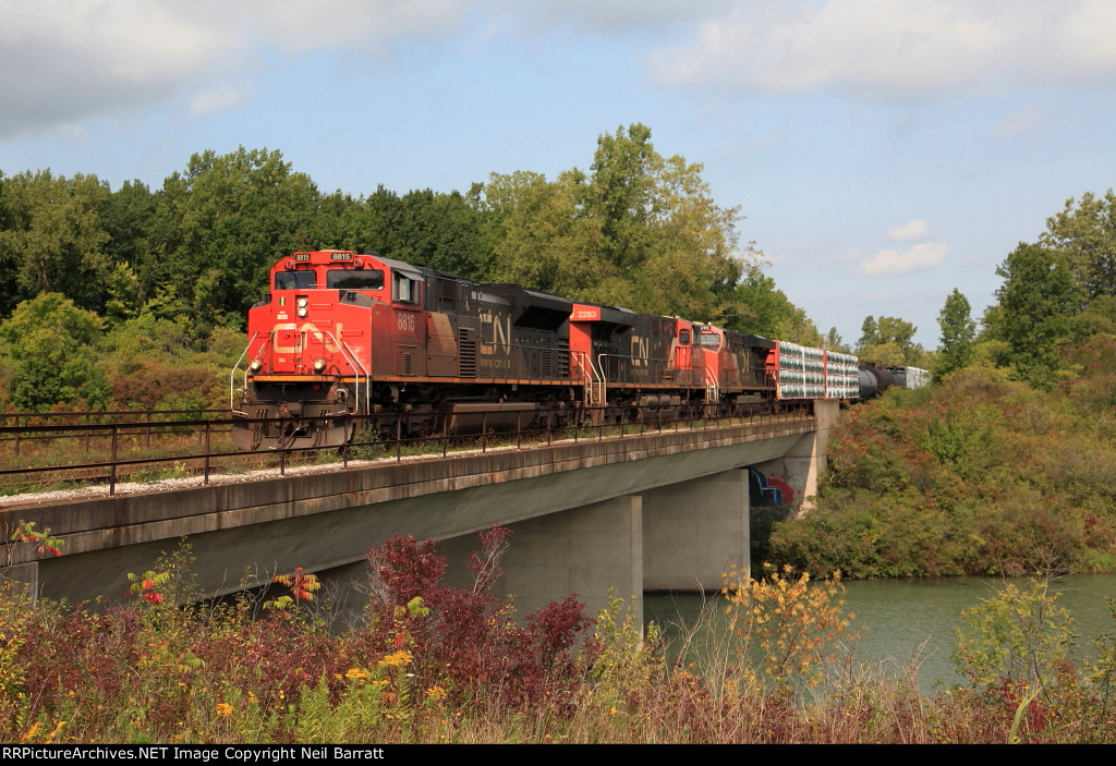 CN 8815